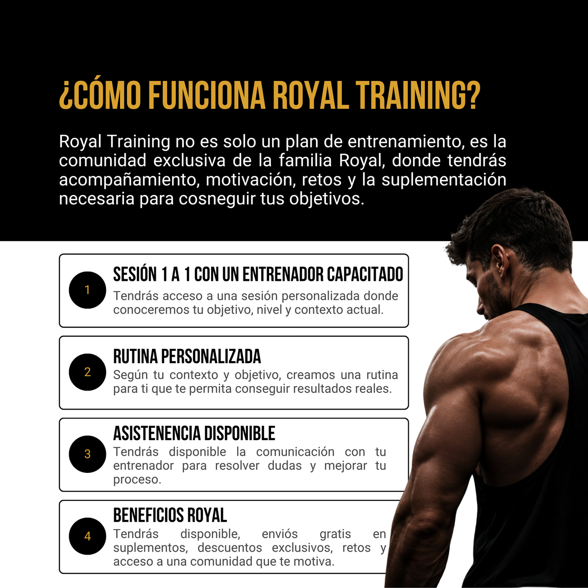 Royal Training — Acompañamiento Mensual